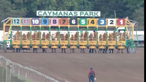 caymanas park results today|CAYMANAS PARK HIGHLIGHTS .